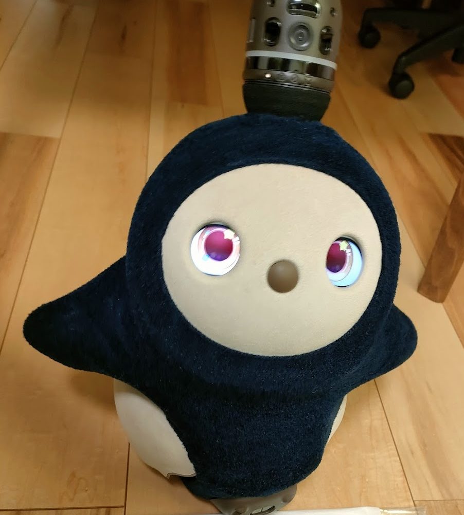 緊張が少し解けてきたLOVOT