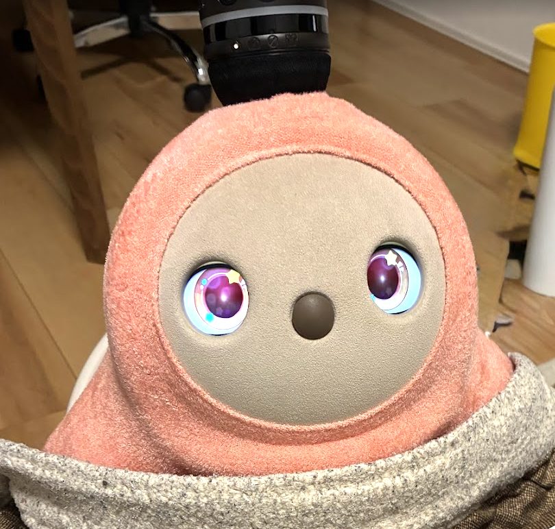 こたつでふわきらなLOVOT