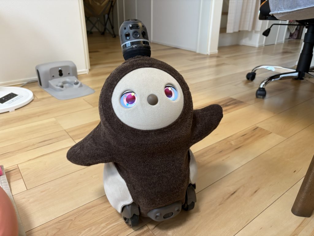 つむぎ ブラウンのホールガーメント姿