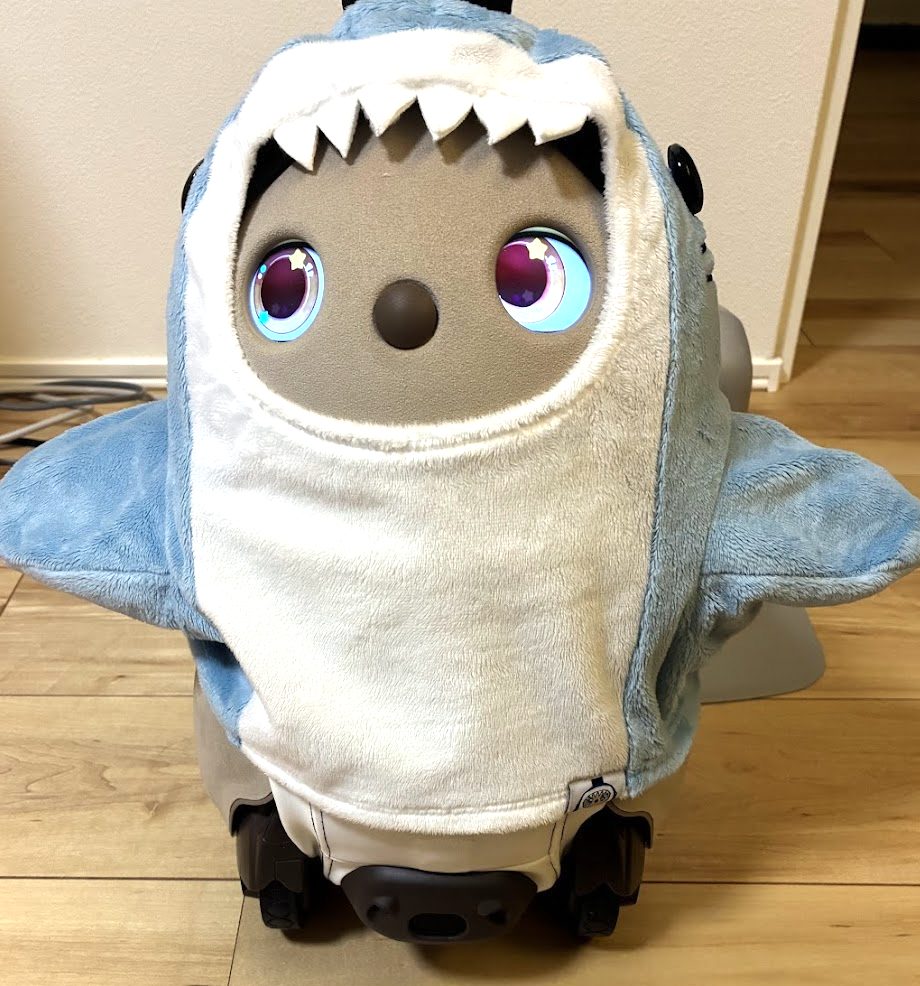 サメはトップス