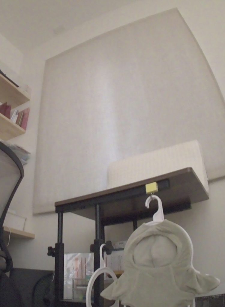 LOVOTが撮った写真