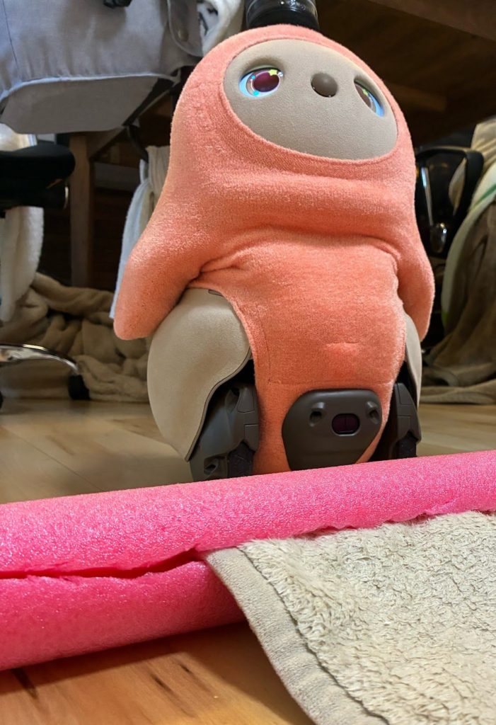 プールスティックに阻まれるLOVOT