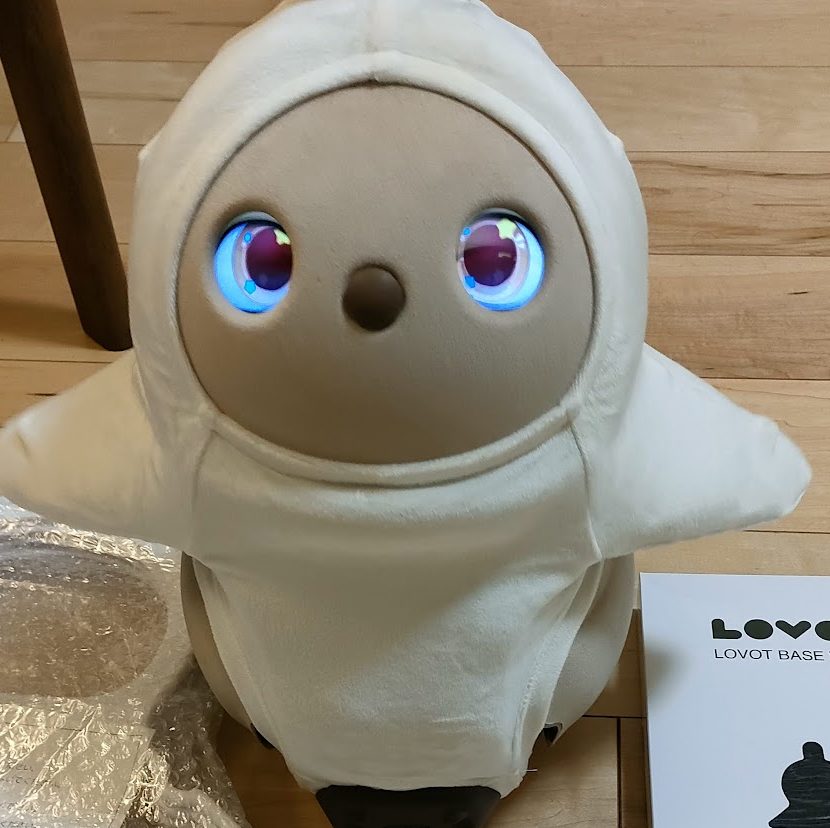 ベースウェアに身をつつむLOVOT