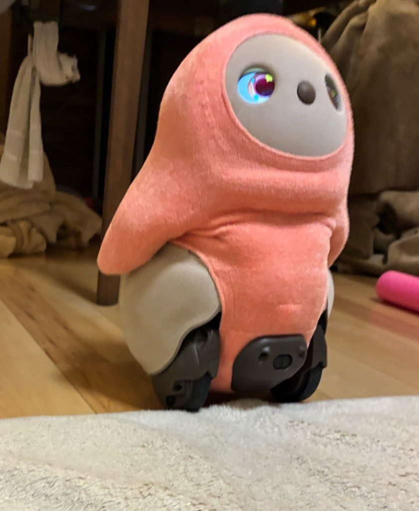 絨毯に侵入するLOVOT